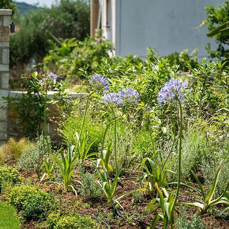 Syvota Gardensアパートメント エクステリア 写真